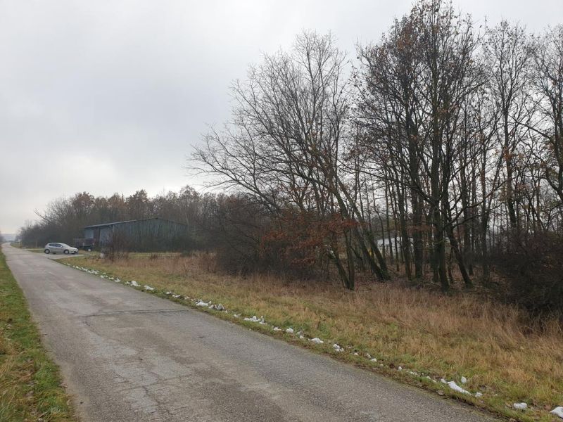 Hľadáte pôdu, les alebo lúku v okrese Pezinok? Budmerice - Cesta vedľa poľnohospodárskych a lesných pozemkov s autom a stromami na horizonte, pochmúrne počasie.