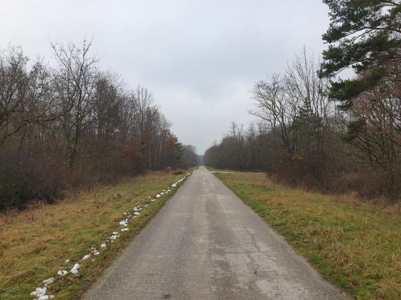 Hľadáte pôdu, les alebo lúku v okrese Pezinok? Budmerice - Vidiecka cesta prechádza poľnohospodárskymi a lesnými pozemkami, lemovaná holými stromami.