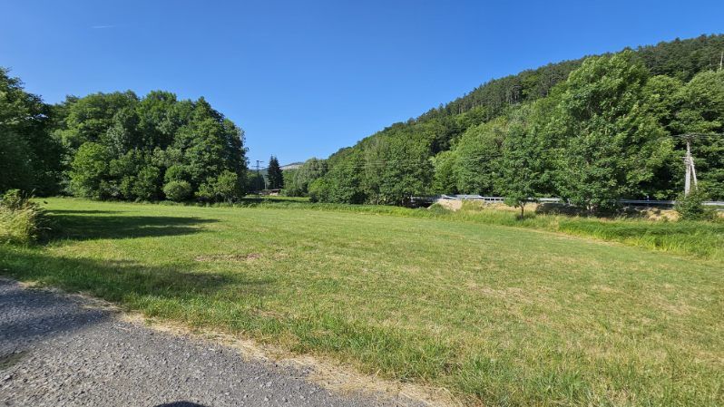 Ponúkame pozemky, od 1000m2, pôdu a les, spolu viac ako 4ha. - Zelená lúka na poľnohospodárskych a lesných pozemkoch v Hornom Tisovníku obklopená stromami a cestou.