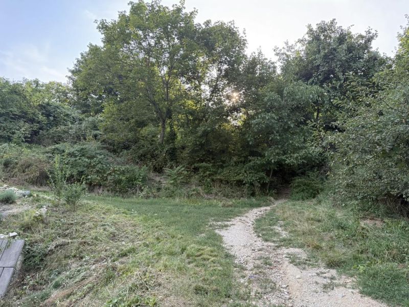 Nová cena ! Stavebný pozemok pre investíciu alebo rekreáciu.  - Pozemky - bývanie, Bratislava - Vinohrady, Frankovská. Svahovitý terén s chodníkom a zeleňou.