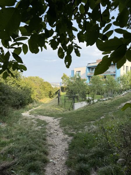 Nová cena ! Stavebný pozemok pre investíciu alebo rekreáciu.  - Lesná cesta obklopená zeleňou pri ulici Frankovská, Bratislava - Vinohrady, pozemky - bývanie.