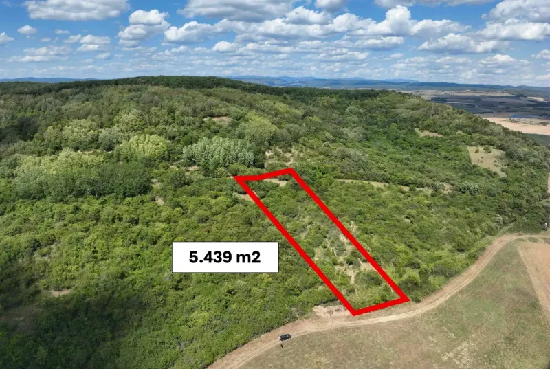 Behynce – 5.439 m2 LESNÝ pozemok v podiele 1/1 – Predaj - Poľnohospodárske a lesné pozemky v Tornali obklopené hustými lesmi a zeleňou.