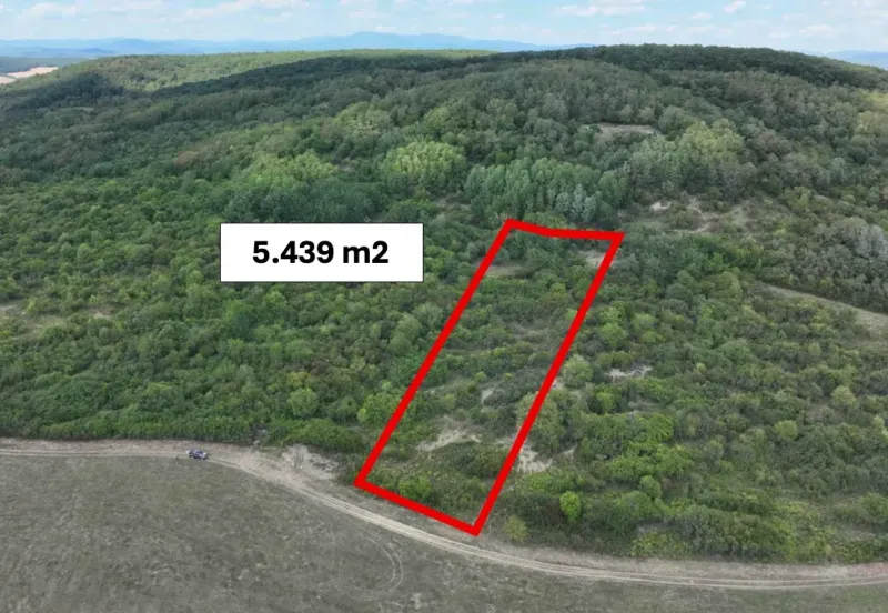 Behynce – 5.439 m2 LESNÝ pozemok v podiele 1/1 – Predaj - Poľnohospodárske a lesné pozemky v Tornaľi s výmerou 5 439 m², obklopené zeleňou.