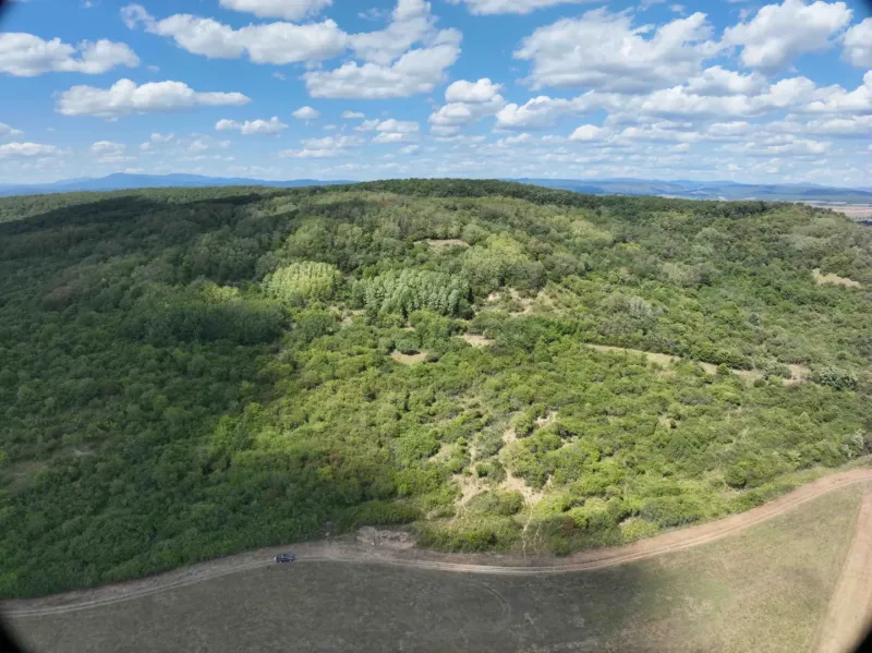 Behynce – 5.439 m2 LESNÝ pozemok v podiele 1/1 – Predaj - Zalesnené poľnohospodárske a lesné pozemky v okolí Tornale pod modrou oblohou.