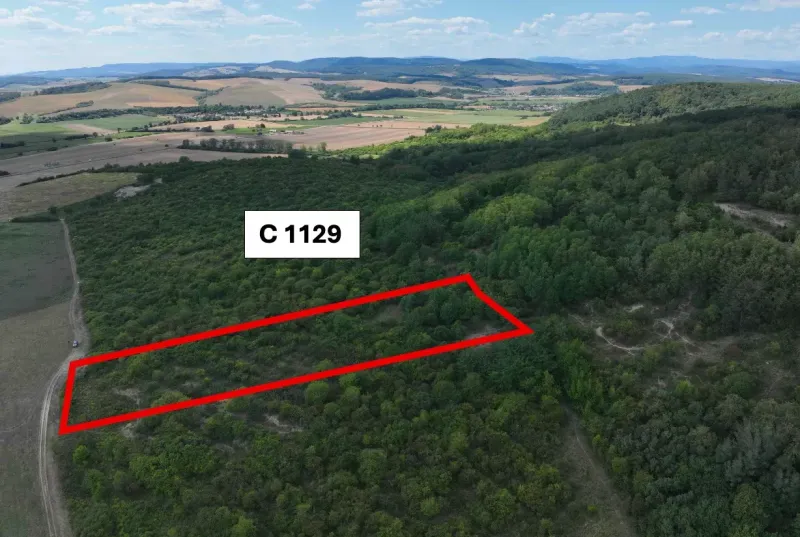 Behynce – 5.439 m2 LESNÝ pozemok v podiele 1/1 – Predaj - Poľnohospodárske a lesné pozemky v Tornali s vyznačeným územím a malebným okolím.