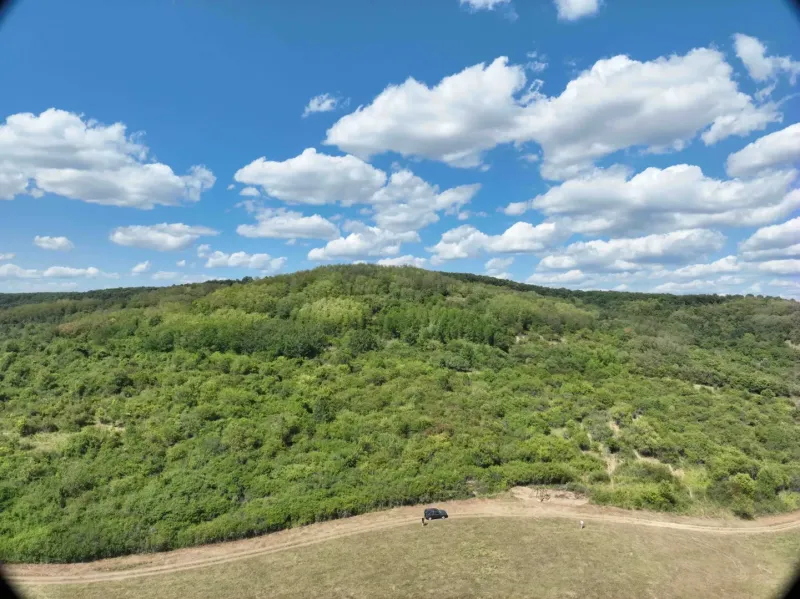 Behynce – 5.439 m2 LESNÝ pozemok v podiele 1/1 – Predaj - Poľnohospodárske a lesné pozemky v Tornaľe s krásnymi zelenými kopcami a modrou oblohou.
