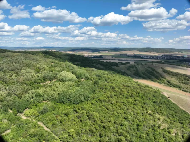 Behynce – 5.439 m2 LESNÝ pozemok v podiele 1/1 – Predaj - Kopcovitý zelený terén a rozľahlé poľnohospodárske a lesné pozemky v Tornaľi, za jasného dňa.