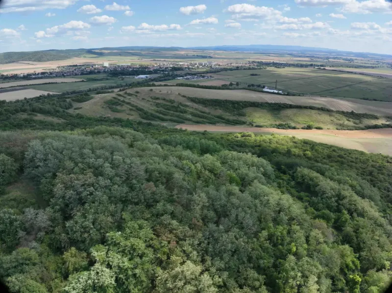 Behynce – 5.439 m2 LESNÝ pozemok v podiele 1/1 – Predaj - Krajina v Tornaľi so zmiešanými poľnohospodárskymi a lesnými pozemkami pod jasnou oblohou.