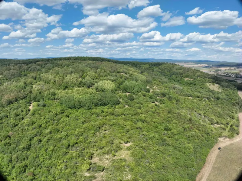Behynce – 5.439 m2 LESNÝ pozemok v podiele 1/1 – Predaj - Lúky a lesy okolo Tornele, Poľnohospodárske a lesné pozemky, pod modrou oblohou.