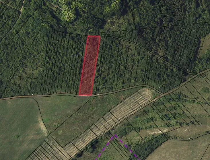 Behynce – 5.439 m2 LESNÝ pozemok v podiele 1/1 – Predaj - Poľnohospodárske a lesné pozemky v Tornali, zreteľné ohraničenie parcely v červenej farbe.