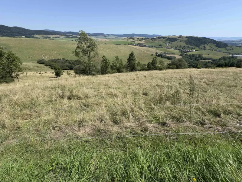 Vyšné Ružbachy – 1.016 m2 POZEMOK na CHATKU – Predaj - Kopcovitá krajina a lúky s výhľadom v oblasti Zvláštnych nehnuteľností v Starej Ľubovni.