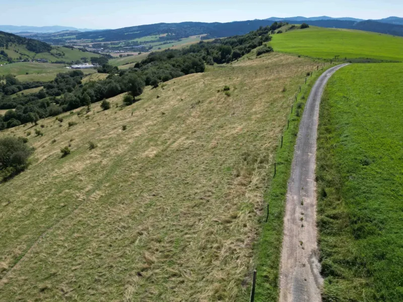 Vyšné Ružbachy – 1.016 m2 POZEMOK na CHATKU – Predaj - Kopcovitá krajina so zelenými lúkami a poľnou cestou pri meste Stará Ľubovňa, Zvláštne nehnuteľnosti.