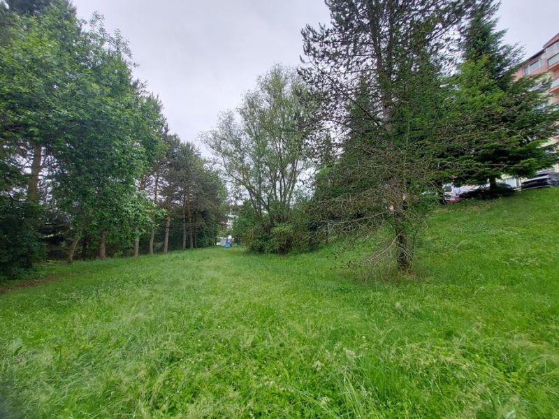 Predaj investičného pozemku. Podborová - Zelený pozemok na Ružovej ulici v Zvolene, ideálny pre bývanie.
