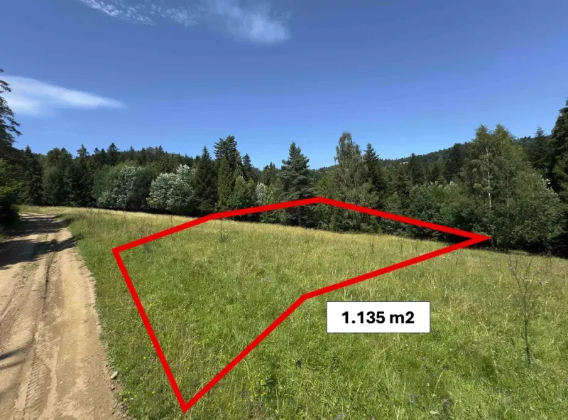 Vyšné Ružbachy – 1.016 m2 POZEMOK na CHATU  pri lese  - Pozemok s rozlohou 1,135 m² v prírode pri zvláštnych nehnuteľnostiach v Starej Ľubovni.
