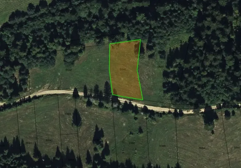 Vyšné Ružbachy – 1.016 m2 POZEMOK na CHATU  pri lese  - Lúka so zelenými hranicami parcely, obklopená lesmi v Starej Ľubovni - Zvláštne nehnuteľnosti.