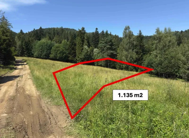 Vyšné Ružbachy – 1.016 m2 POZEMOK na CHATU  pri lese  - Pozemok pri lese v oblasti Starej Ľubovne, s označenou rozlohou 1.135 m², Zvláštne nehnuteľnosti.