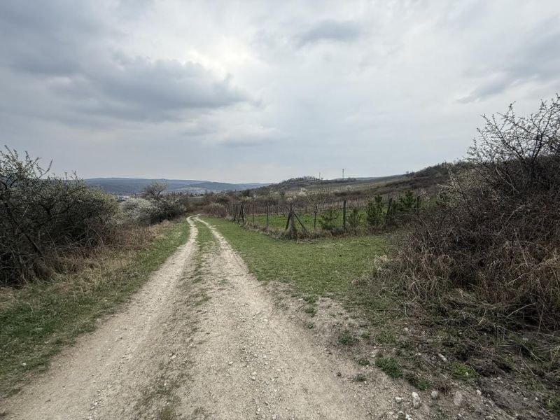 Oplotený obrábaný vinohrad so studňou.Fajgalská cesta - Zasnežená cesta na Rekreačných pozemkoch, Fajgalská cesta v Pezinku, obklopená vegetáciou a oplotením.