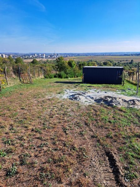 Oplotený obrábaný vinohrad so studňou.Fajgalská cesta - Výhľad z Rekreačných pozemkov na Fajgalskej ceste v Pezinku s trávnatou plochou a záhradným domčekom.