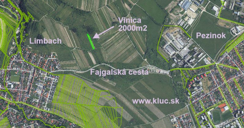 Oplotený obrábaný vinohrad so studňou.Fajgalská cesta - Letecký pohľad na vinicu 2000m2 pri Fajgalskej ceste v Pezinku.