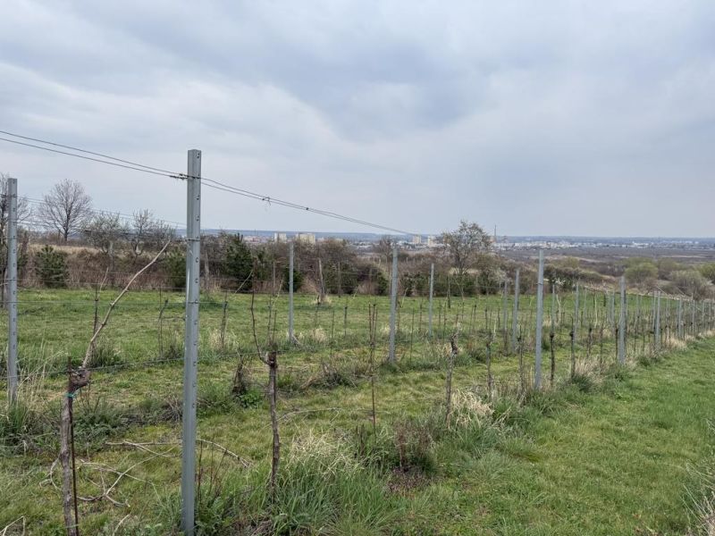 Oplotený obrábaný vinohrad so studňou.Fajgalská cesta - Vinica na rekreačných pozemkoch na Fajgalskej ceste v Pezinku, s výhľadom na mesto.
