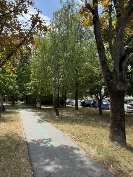 Kľúč RK-Novinka:Priestranný 2-iz.byt s loggiou.(možnosť zmeny na 3-iz) - Chodník pri Čiližskej ulici v Bratislave - Vrakuni lemovaný stromami a zaparkovanými autami.