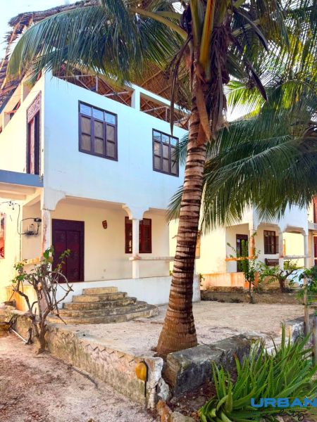 SAMOSTATNE STOJACA VILA MAPUMZIKO S 2 IZBAMI NA ZANZIBARE  - Rodinný dom v Fumba Town obklopený palmou a tropickou vegetáciou, schody vedúce na verandu.