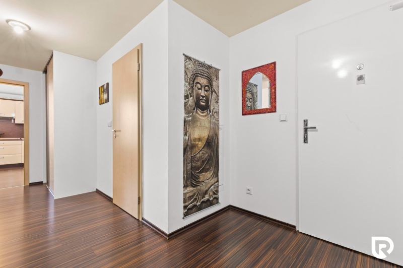 Apartmán vhodný na Airbnb aj rodinné bývanie | Vienna Gate - Vstupná chodba v 3-izbovom byte s podlahou s dreveným dekorom, zrkadlom a budhistickým motívom.
