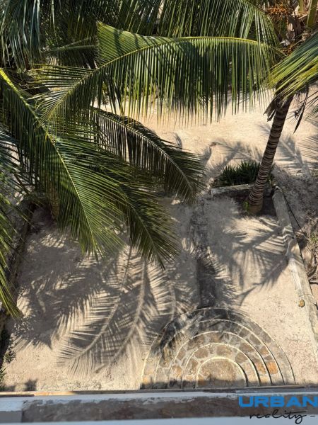 OFF-PLAN VILA MAPUMZIKO S 1 SPALŇOU NA ZANZIBARE  - Palmy v záhrade rodinného domu v Pwani Mchangani vrhajú tiene na pieskovú zem.