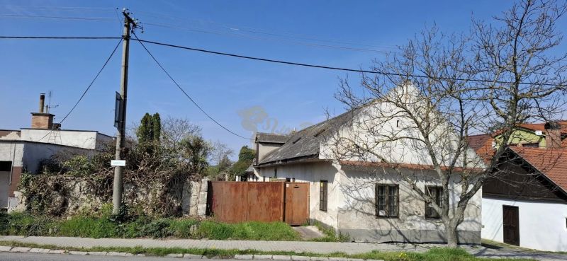 Starší rodinný dom s veľkým pozemkom, Devínska Nová Ves - Rodinný dom na Námestí 6 apríla v Bratislave - Devínska Nová Ves, s bránou a stromom.