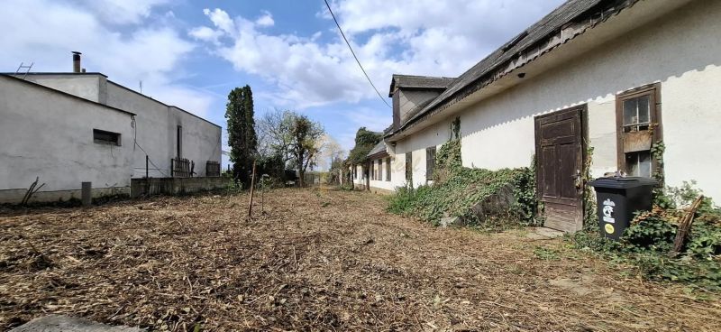 Starší rodinný dom s veľkým pozemkom, Devínska Nová Ves - Rodinný dom na Námestí 6. apríla v Bratislave - Devínskej Novej Vsi, dvor s vegetáciou.