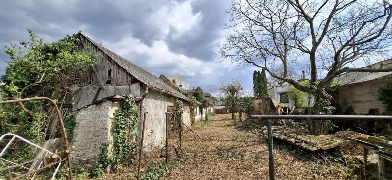 Starší rodinný dom s veľkým pozemkom, Devínska Nová Ves - Zarastený dvor pri rodinnom dome s opustenými stavbami na námestí 6. apríla v Devínskej Novej Vsi.