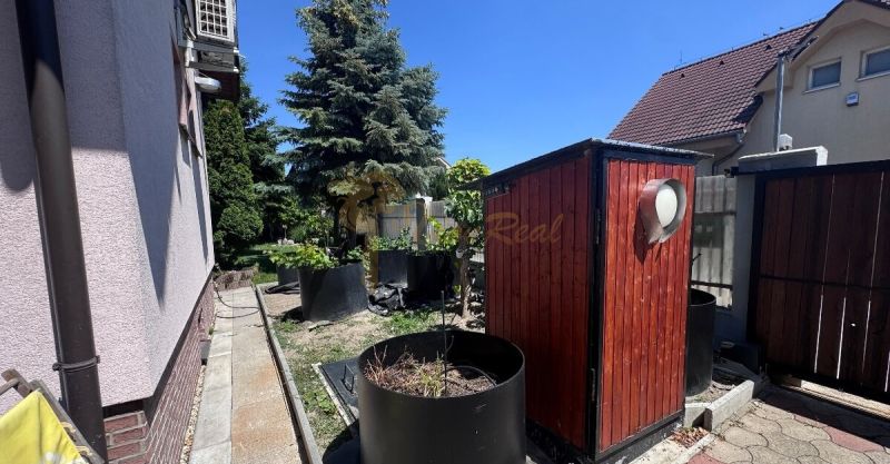 6-izb. rodinný dom, lokalita Nové Košariská, Dunajská Lužná - Záhrada pri rodinnom dome na Nových Košariskách v Dunajskej Lužnej so zelenými rastlinami.