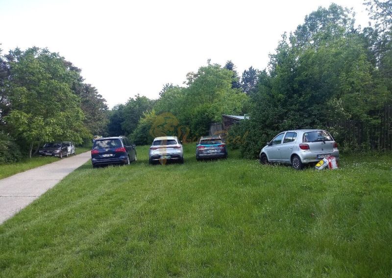 Rekreačná chata s výhľadom na Líščie údolie a Yuventu, Karlová Ves - Autá parkujúce na tráve pri ceste medzi stromami v oblasti Karloveská, Bratislava - Karlova Ves.
