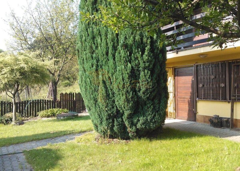 Rekreačná chata s výhľadom na Líščie údolie a Yuventu, Karlová Ves - Pred rodinným domom na Karloveskej ulici v Bratislave - Karlovej Vsi je záhrada s ihličnanom.