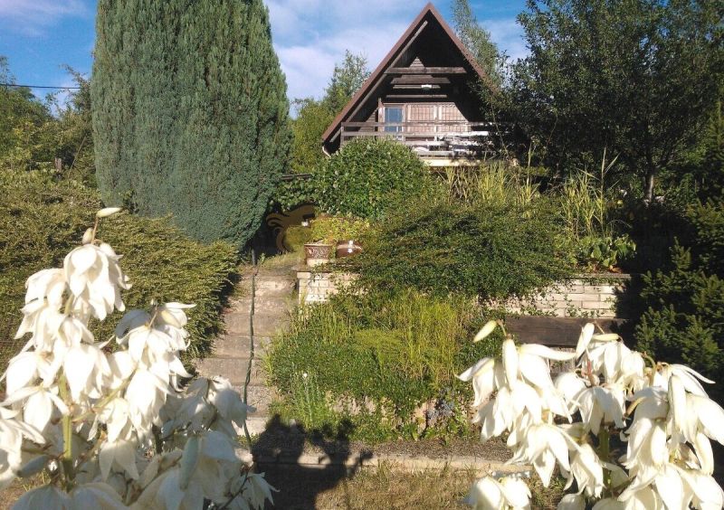 Rekreačná chata s výhľadom na Líščie údolie a Yuventu, Karlová Ves - Chata v záhrade s drevenými prvkami, obklopená zeleňou a bielymi kvetmi.