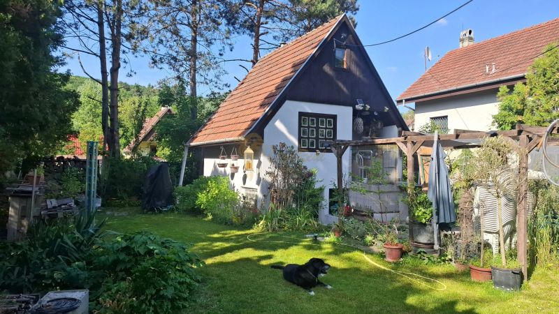 Záhradná chata so záhradou, Devínska cesta, Devín - Záhrada s chatou v oblasti Bratislava - Devín, obklopená stromami a kríkmi.