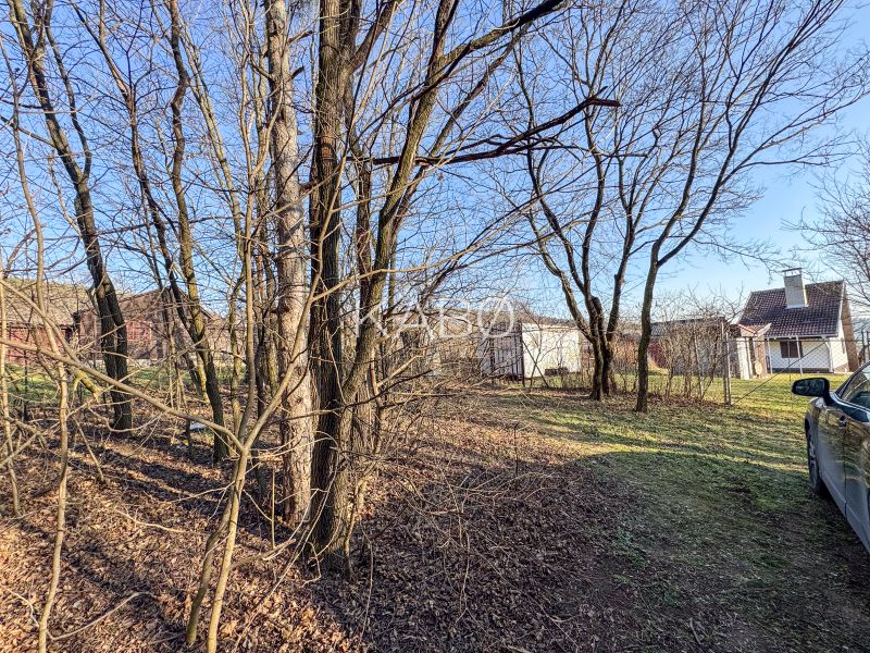 Krásna vinica pri Nitre - 895 m2  - Záhrada s holými stromami a domami na Ambrovej ulici vo viniciach v Nitre.