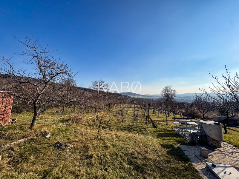 Krásna vinica pri Nitre - 895 m2  - Vinice na Ambrovej ulici v Nitre s výhľadom na kopcovitú krajinu a stolom na grilovanie.