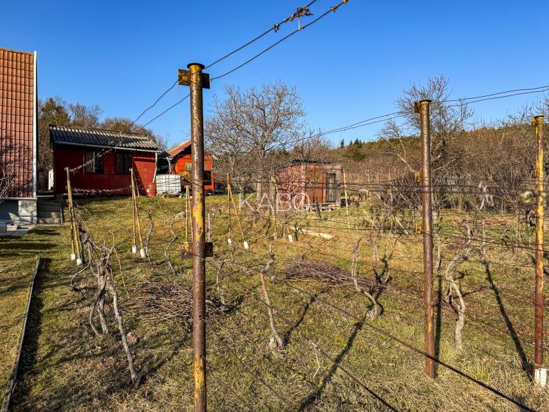 Krásna vinica pri Nitre - 895 m2  - Vinice na Ambrovej ulici v Nitre s chatkami a vedením.