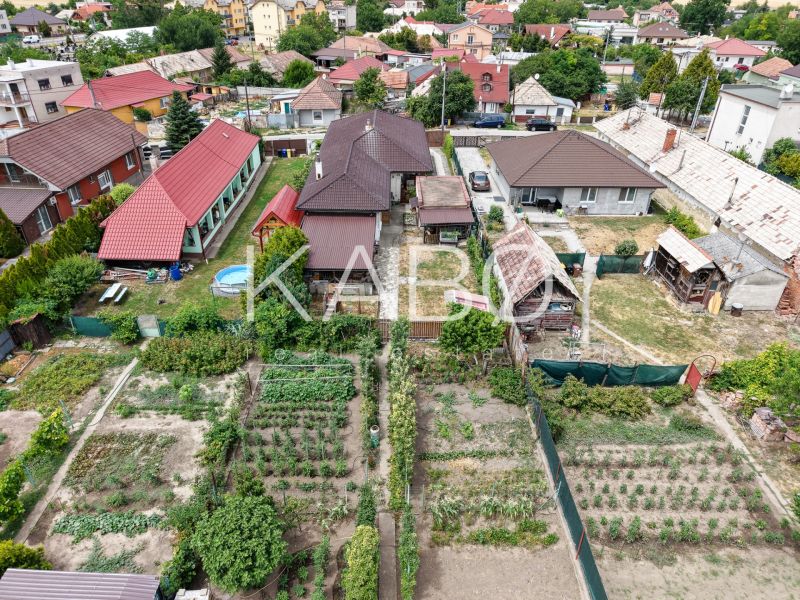 Priestranný 4 izbový rodinný dom po rekonštrukcii - Branč  - Záhrada rodinného domu na Veľkoveskej ulici v Branči s úžitkovou a okrasnou časťou.