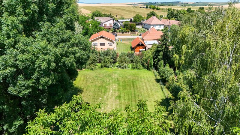 Rodinný dom s krásnym 18 á pozemkom ( stavebným) - Nové Sady  - Záhrada pri rodinnom dome v Nových Sadoch, obklopená stromami a trávnikom.