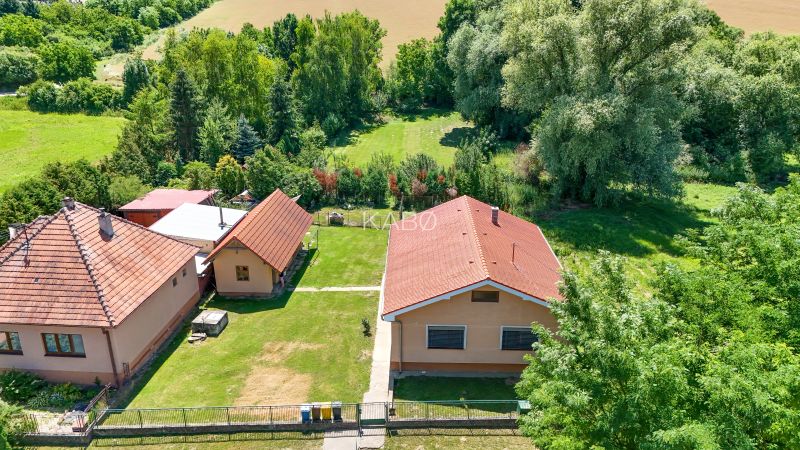 Rodinný dom s krásnym 18 á pozemkom ( stavebným) - Nové Sady  - Rodinný dom v Nových Sadoch s červenou strechou a zeleným záhradným prostredím.