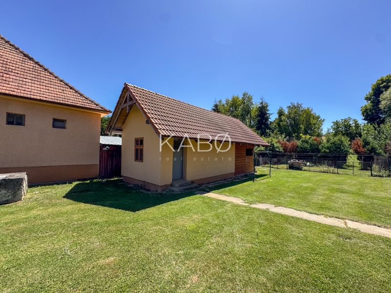 Rodinný dom s krásnym 18 á pozemkom ( stavebným) - Nové Sady  - Záhrada pri rodinnom dome v Nových Sadoch s trávnikom a malou stavbou.