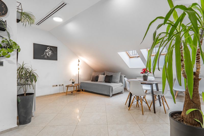 I Exkluzívny penthouse s terasou v absolútnom centre mesta - Svetlá obývacia izba s rastlinami a strešnými oknami v 2-izbovom byte.