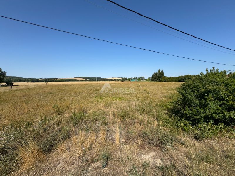PREDAJ: STAV. POZEMOK; 1776 m2; DUDINCE-Hokovce; 43.000 €  - Otvára sa výhľad na Pozemky - bývanie v Hokovciach s trávnatým porastom a stromami.