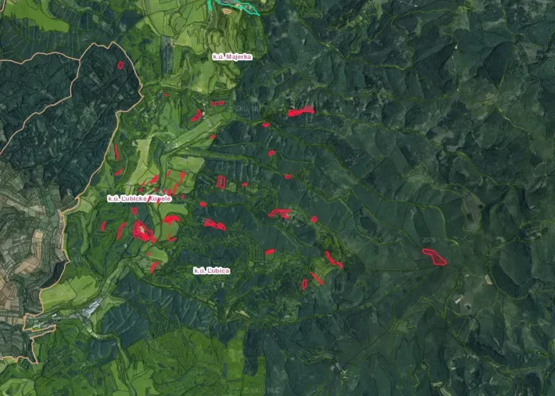 Ľubické kúpele, Ľubica – 3.373 m2 LESY a ORNÁ pôda - Predaj - Mapa ukazuje Poľnohospodárske a lesné pozemky v okolí Ľubice, označené červenou farbou.