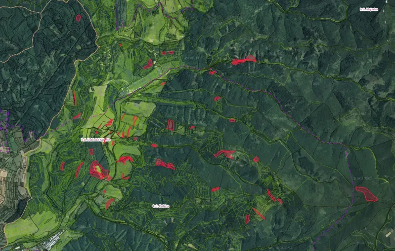 Ľubické kúpele, Ľubica – 3.373 m2 LESY a ORNÁ pôda - Predaj - Letecký pohľad na poľnohospodárske a lesné pozemky v okolí Ľubice s označením hraníc.