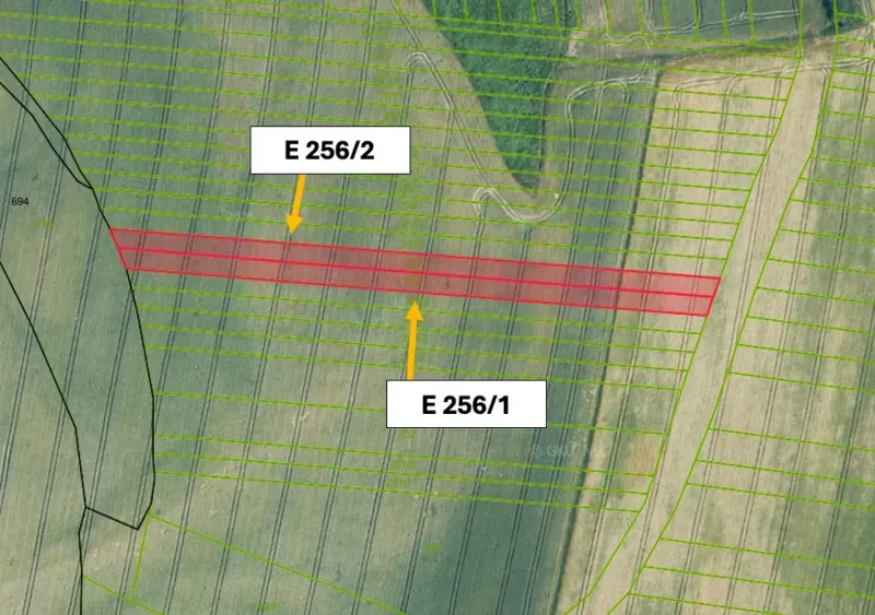 Medzany – 1.793 m2 POĽNOHOSPODÁRSKA pôda – Predaj  - Katastrálna mapa zobrazuje rozdelenie poľnohospodárskych a lesných pozemkov v Medzanoch.