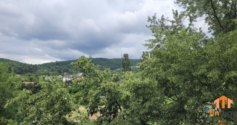PRENÁJOM - 3-izbový svetlý byt - Teplická ulica, Bratislava - Výhľad na zelené kopce a stromy z 3-izbového bytu v Bratislave.