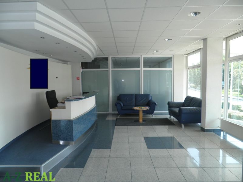 Prenájom kancelárskych priestorov  Drieňová ul., 209 m2 - 600 m2 - Recepcia s pohovkami v kanceláriách, svetlé priestory, sklenené priečky.